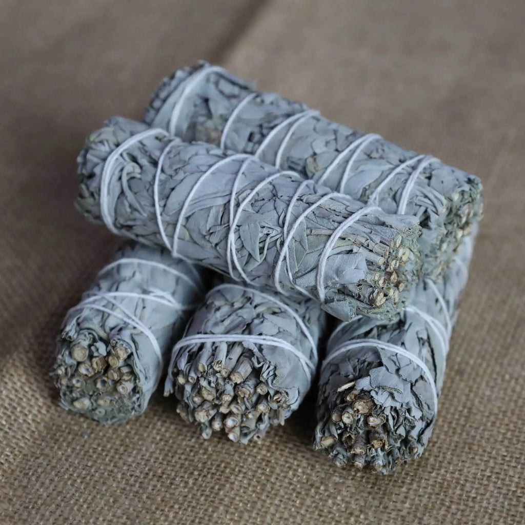 Sauge blanche séchée pour fumigation